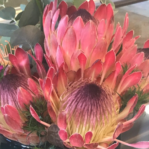 buttercupink
